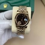 Rolex 36mm Kadın Model 262